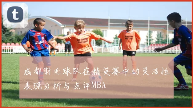 成都羽毛球队在精英赛中的灵活性表现分析与点评MBA