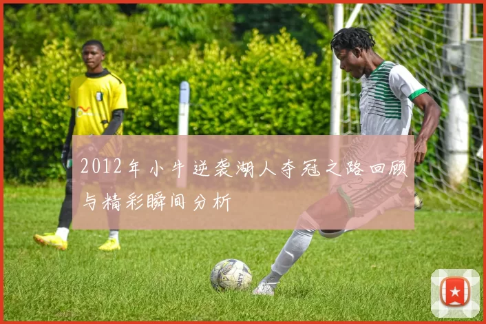 2012年小牛逆袭湖人夺冠之路回顾与精彩瞬间分析